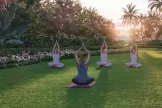Yoga Lawn